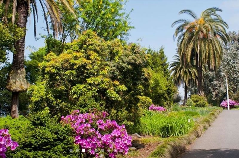 Adjara botanical garden & Mtirala