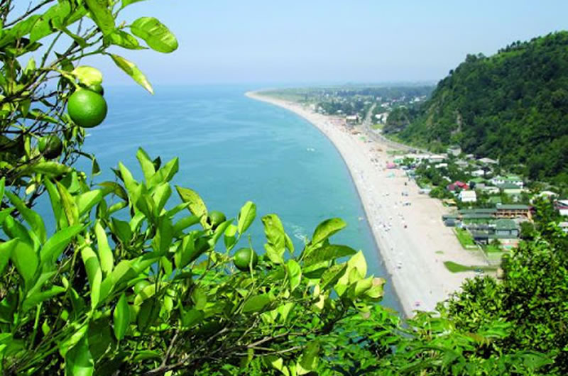 Seaside in Adjara with lemon plantations