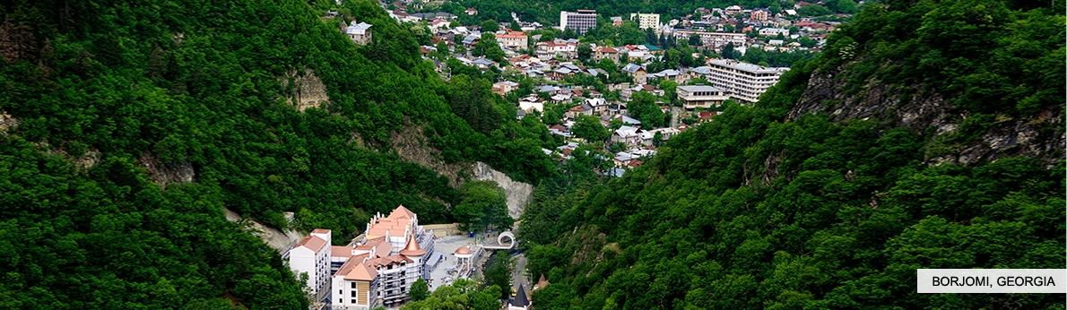 Borjomi, Georgia. 5500 years old honey