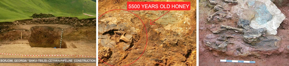 Oldest Honey 3500 years BC