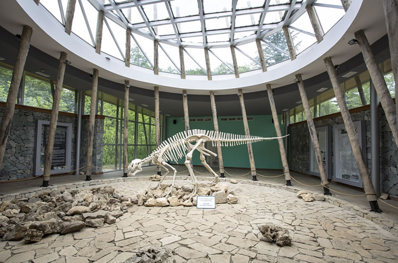Sataplia museum