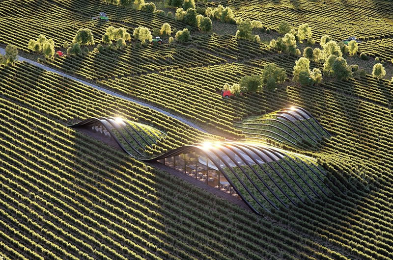 SHILDA vineyards with geothermal tasting space